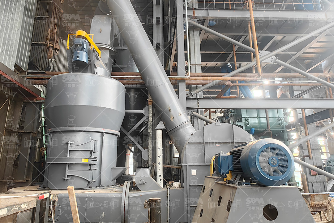 Industrial installation of a large MTW Series European Trapezium Mill in a mineral processing plant